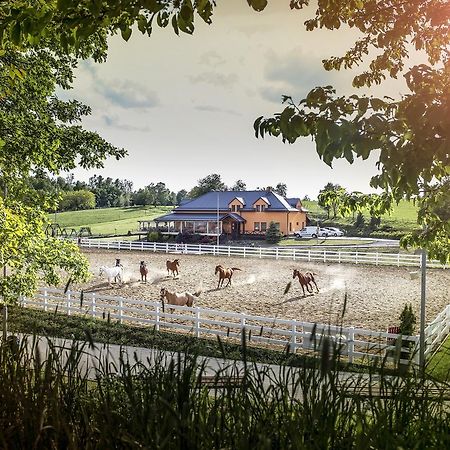 Hotel Horse Riding - Jezdecký Areál Tršice Exteriér fotografie