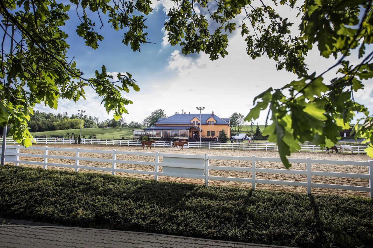 Hotel Horse Riding - Jezdecký Areál Tršice Exteriér fotografie