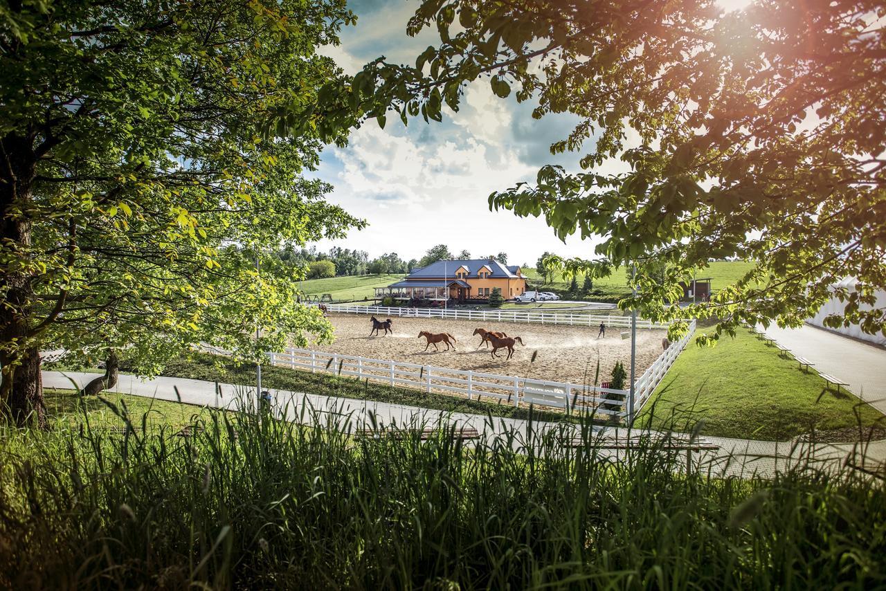 Hotel Horse Riding - Jezdecký Areál Tršice Exteriér fotografie