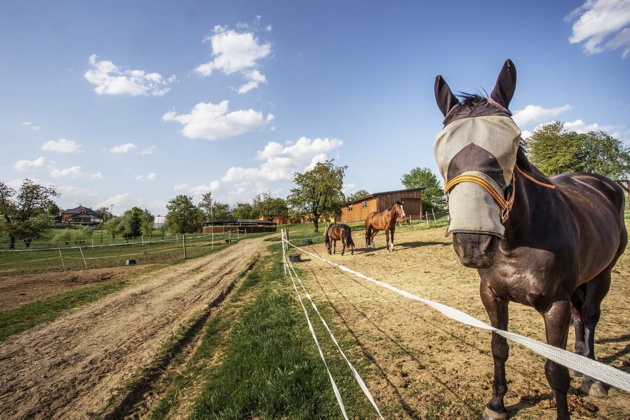 Hotel Horse Riding - Jezdecký Areál Tršice Exteriér fotografie