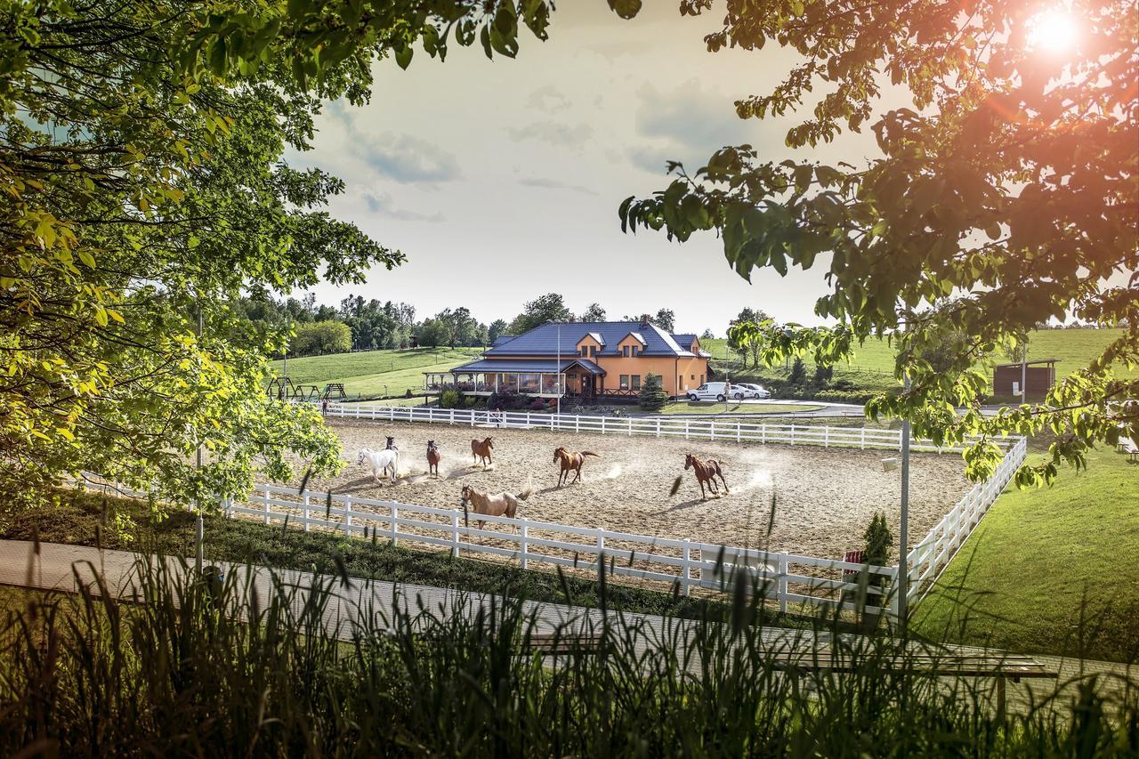 Hotel Horse Riding - Jezdecký Areál Tršice Exteriér fotografie