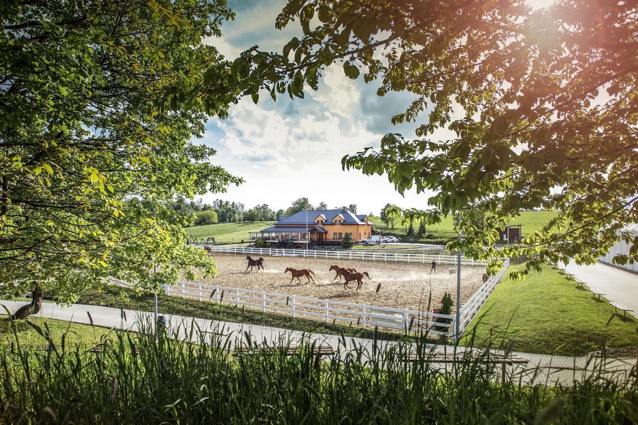 Hotel Horse Riding - Jezdecký Areál Tršice Exteriér fotografie