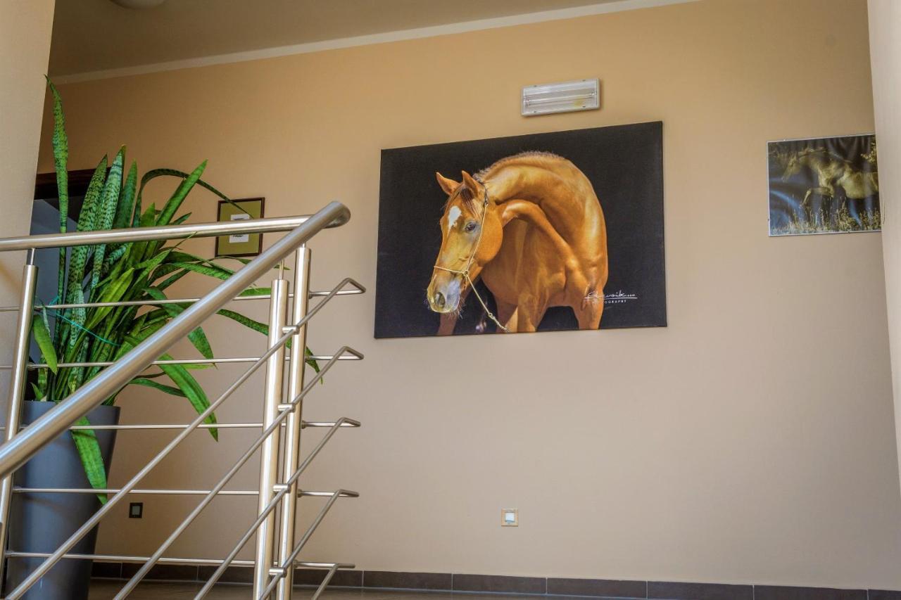 Hotel Horse Riding - Jezdecký Areál Tršice Exteriér fotografie